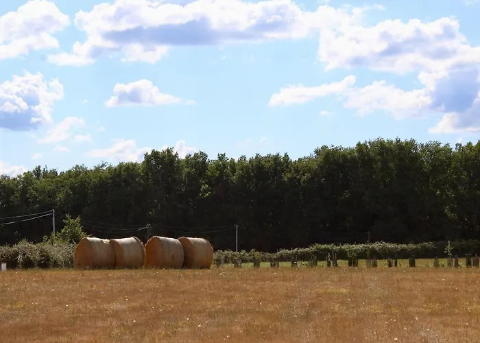 Maison De Maitre En Dordogne Дом отдыха Montpon-Menesterol